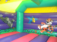 Jungle castle inner